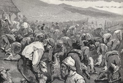 Sheepshearing in Southern California, from 